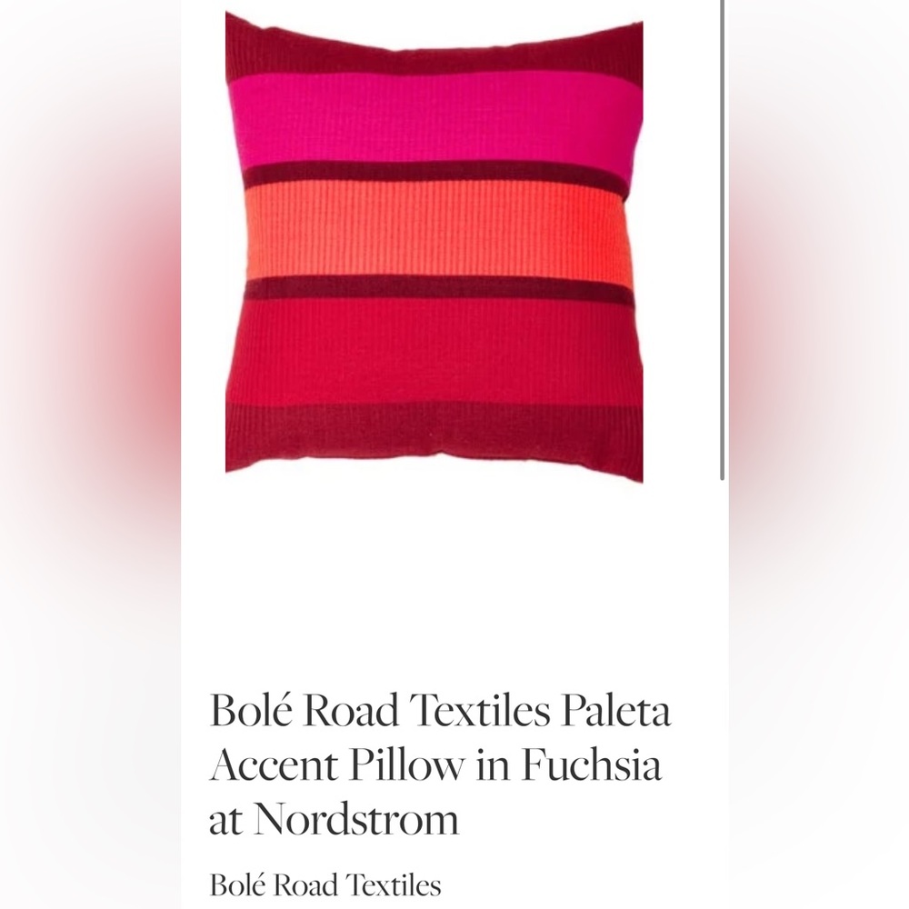 Brand new Paleta Accent Pillow (Bole Road Textiles)